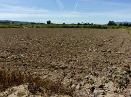 Parcela Torre del Obispo